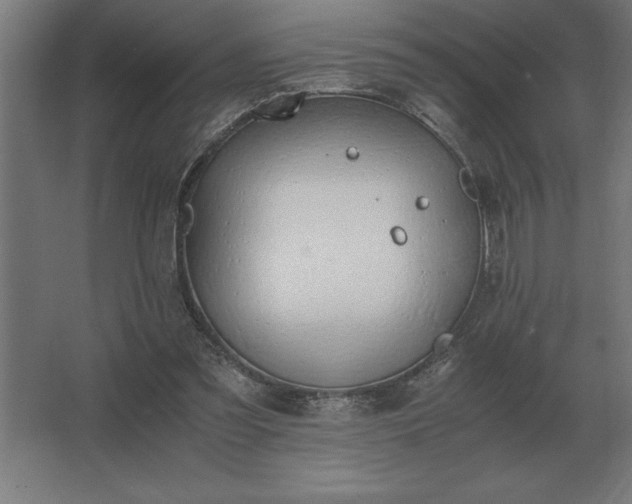 X0000062670301200512281746