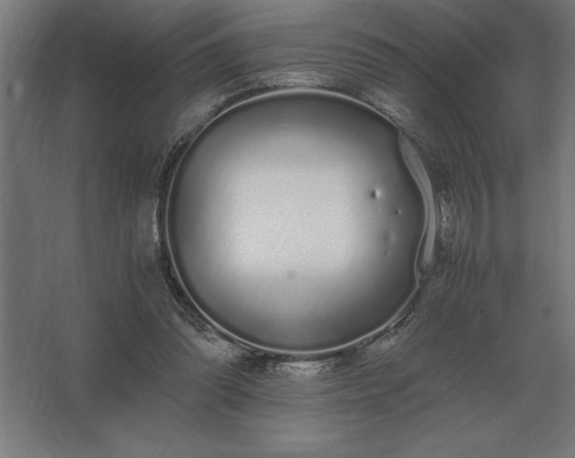 X0000062670302200512281746