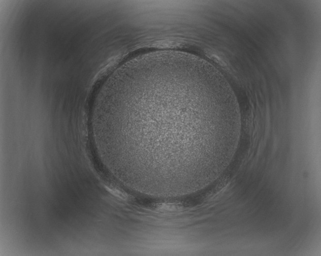 X0000062670303200512281746