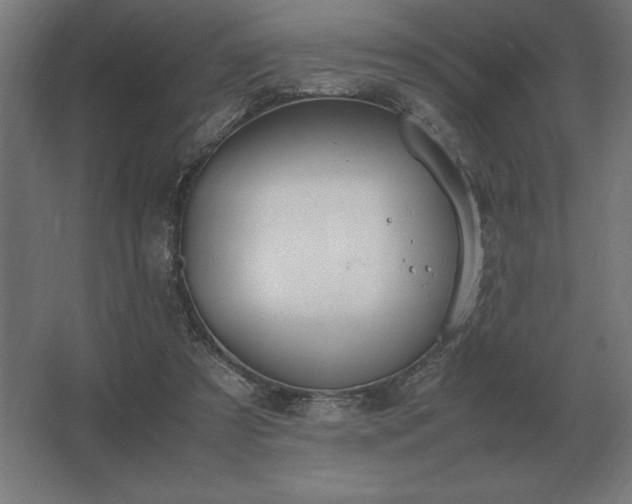 X0000062670305200512281746