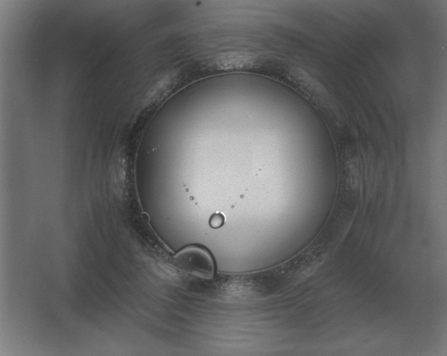 X0000062670308200512281746