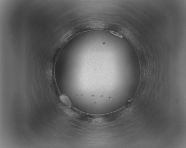 X0000062670309200512281746