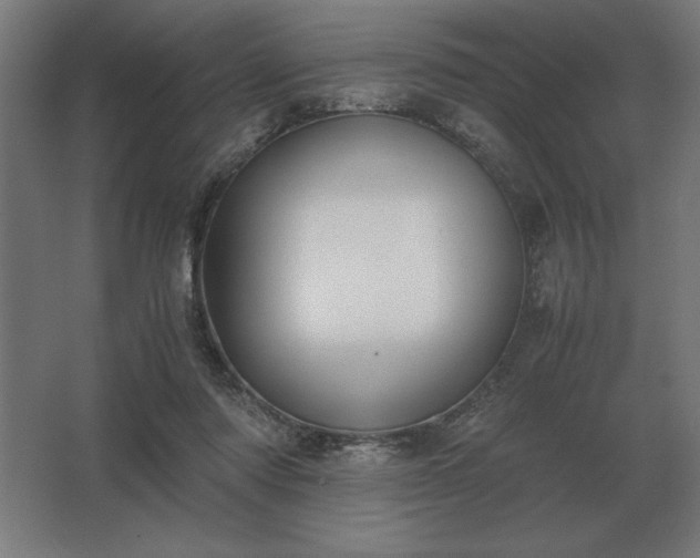 X0000062670310200512281746