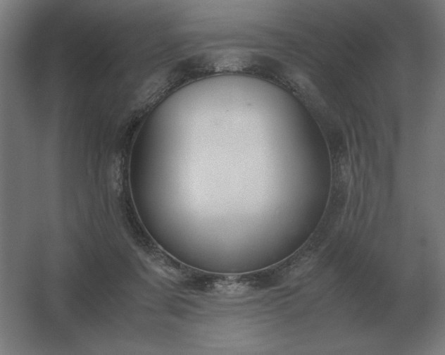 X0000062670311200512281746