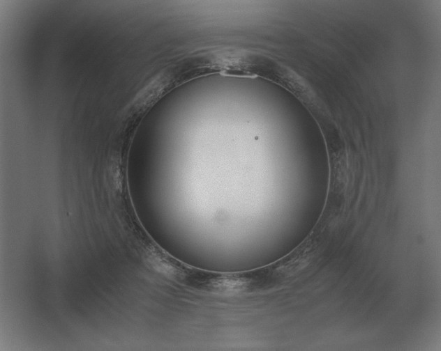 X0000062670313200512281746