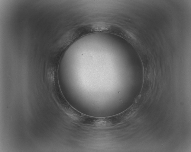 X0000062670315200512281746