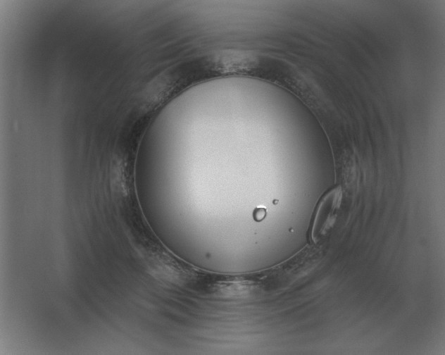 X0000062670316200512281746