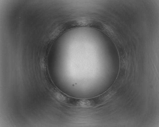 X0000062670317200512281746