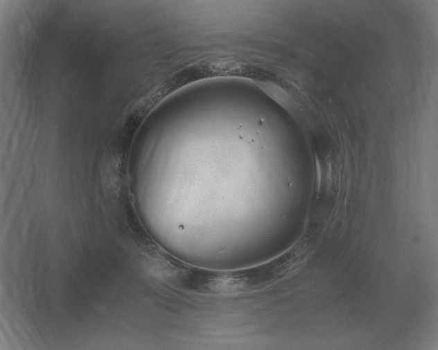 X0000062670319200512281746