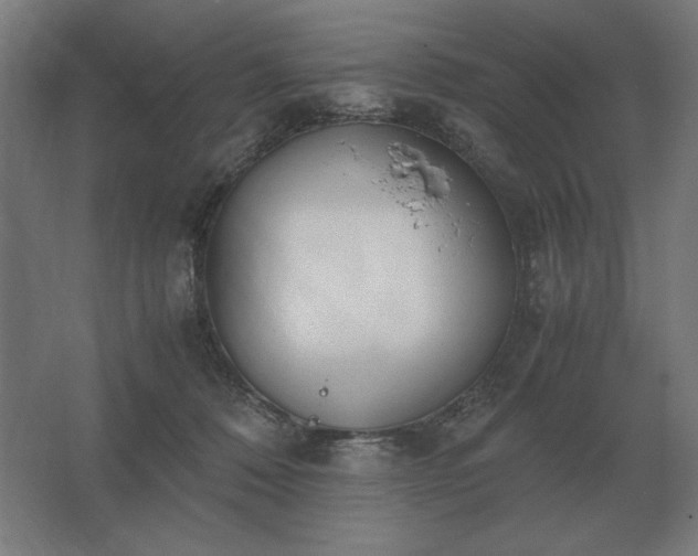 X0000062670320200512281746