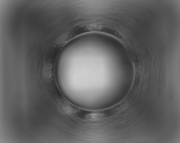 X0000062670323200512281746