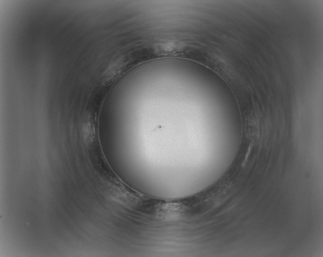 X0000062670324200512281746