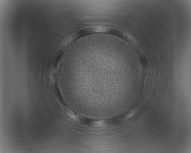 X0000062670325200512281746