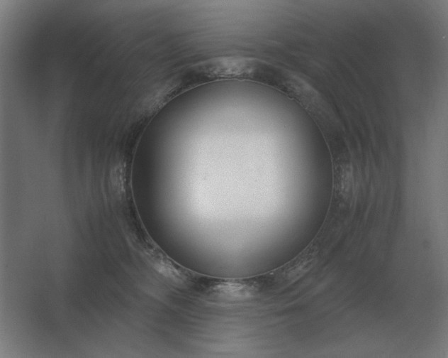 X0000062670326200512281746