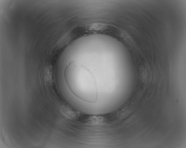 X0000062670328200512281746