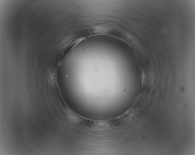 X0000062670329200512281746