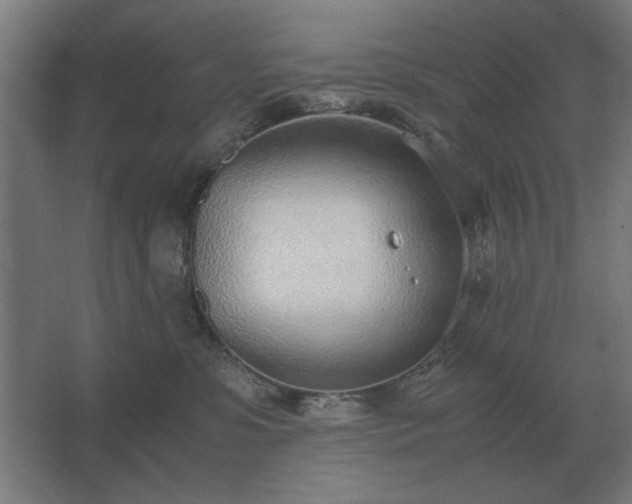 X0000062670331200512281746