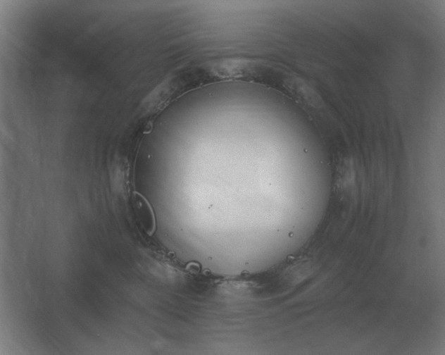 X0000062670332200512281746