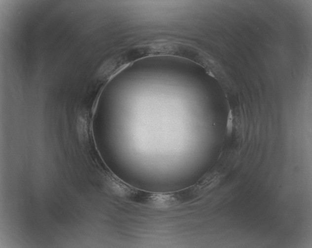 X0000062670333200512281746