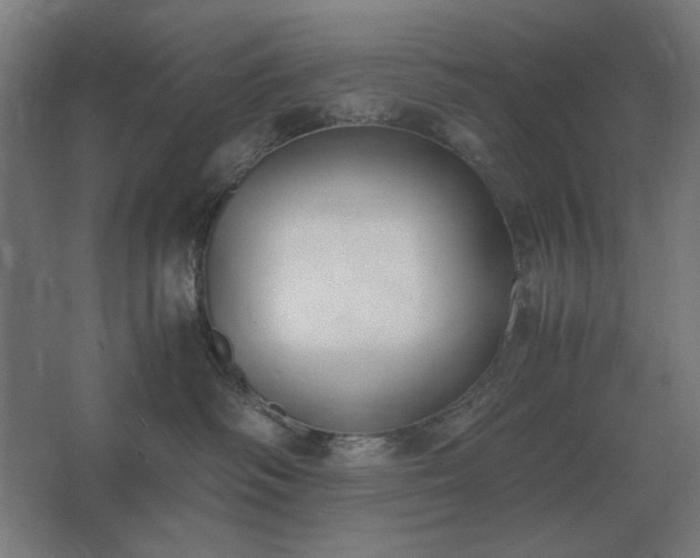 X0000062670334200512281746