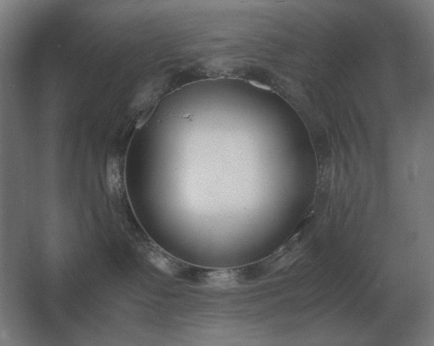 X0000062670335200512281746