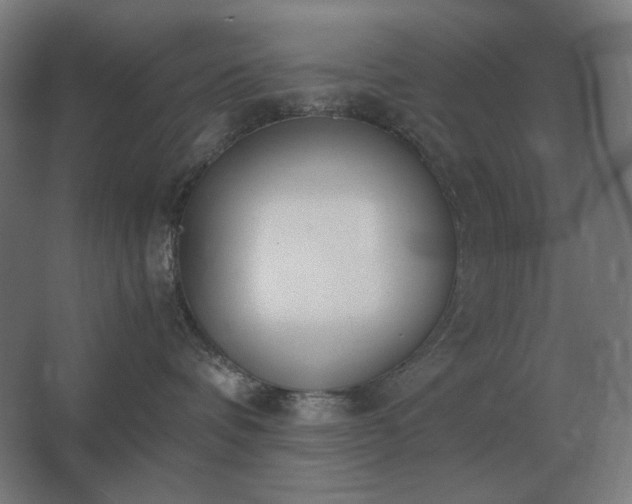 X0000062670336200512281746