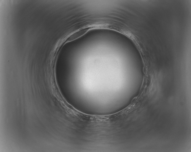 X0000062670337200512281744