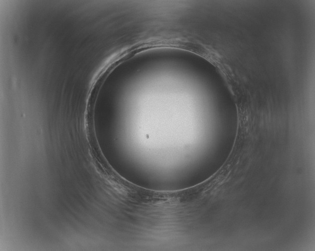 X0000062670340200512281745