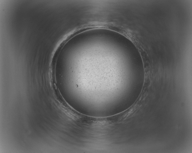 X0000062670342200512281745