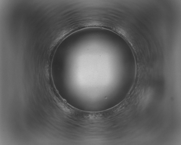 X0000062670345200512281745