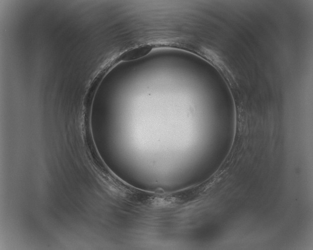 X0000062670346200512281745