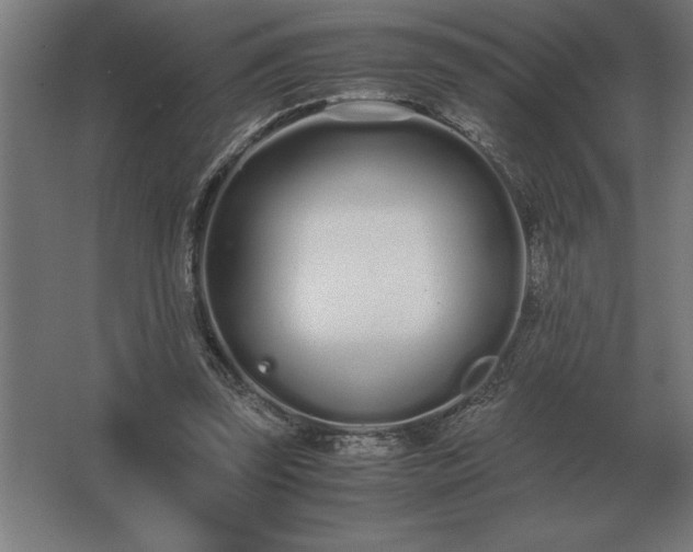 X0000062670347200512281745