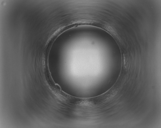 X0000062670348200512281745