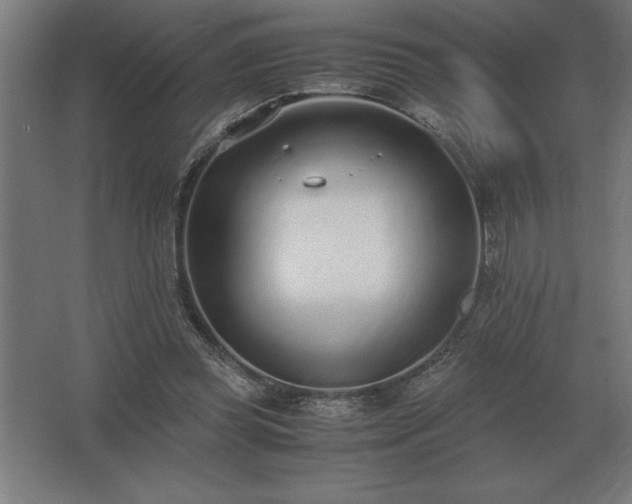 X0000062670349200512281745