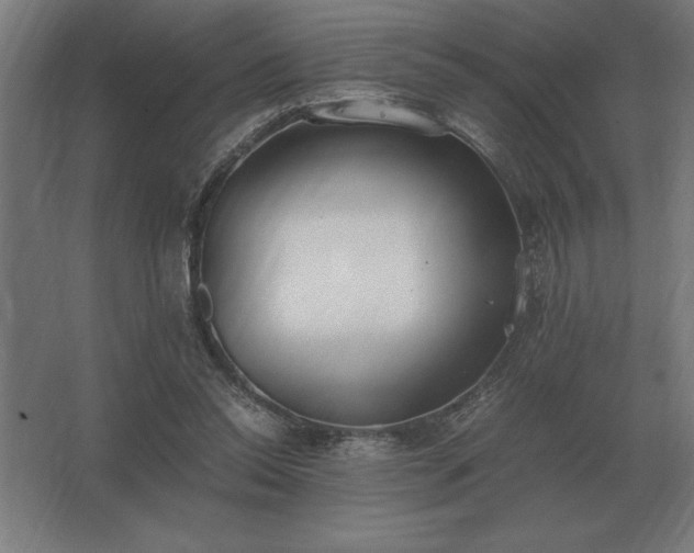 X0000062670350200512281745