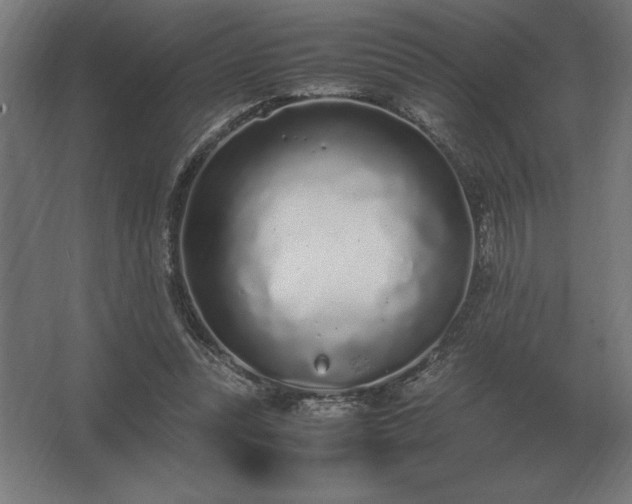 X0000062670351200512281745