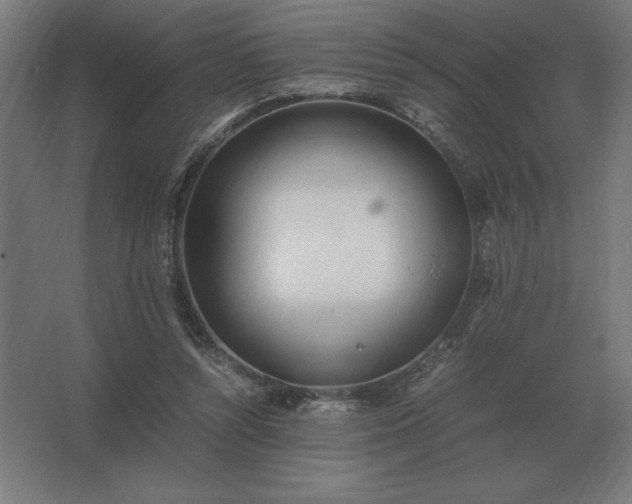 X0000062670352200512281745