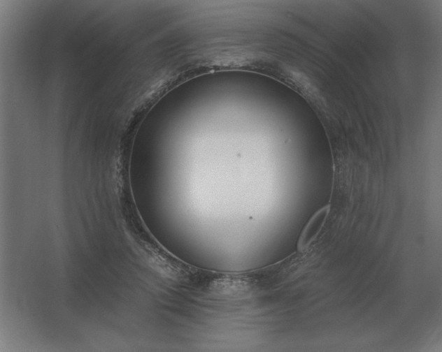 X0000062670354200512281745