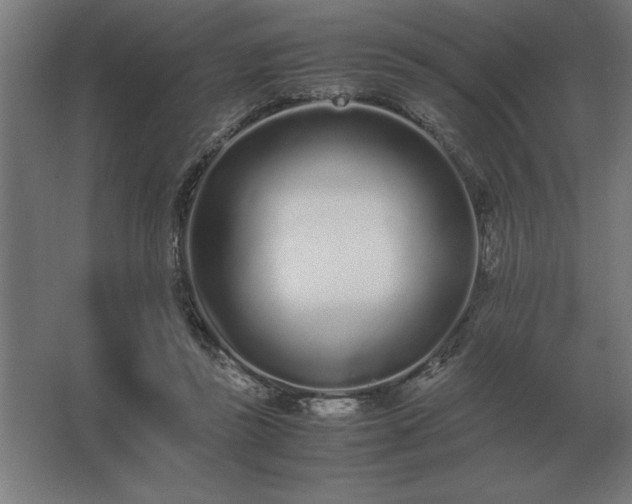 X0000062670355200512281745