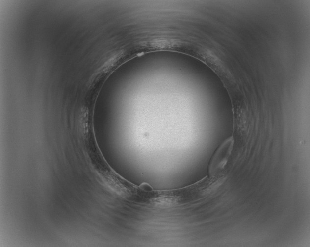 X0000062670356200512281745