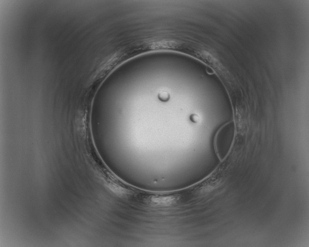 X0000062670357200512281745