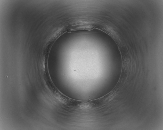 X0000062670358200512281745