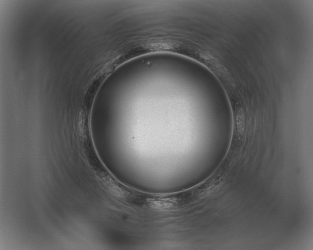 X0000062670359200512281745