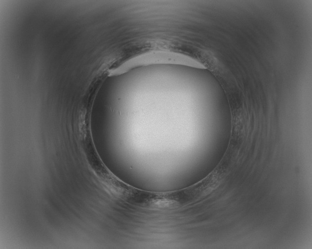 X0000062670360200512281745