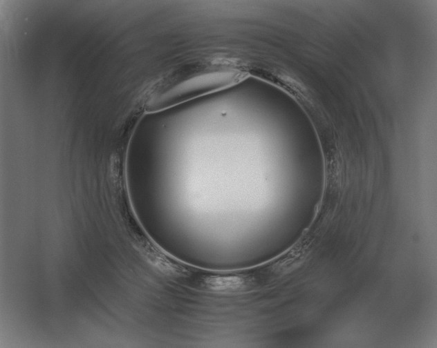 X0000062670361200512281745