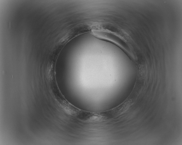 X0000062670364200512281745