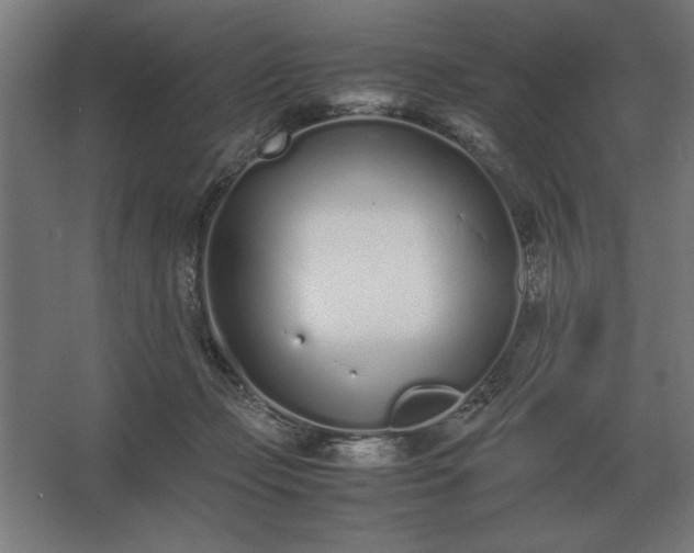 X0000062670365200512281745