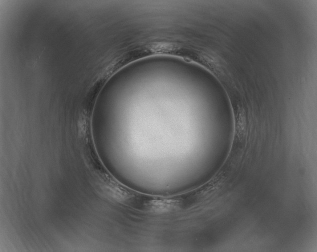 X0000062670367200512281745