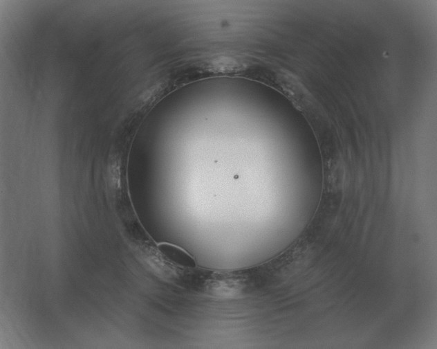 X0000062670368200512281745