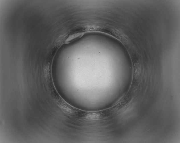 X0000062670369200512281745